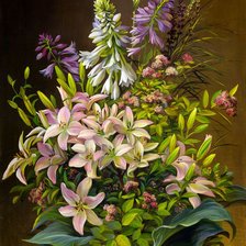 Схема вышивки «№2909247»