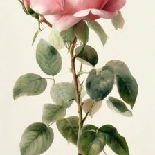 Схема вышивки «№2909269»