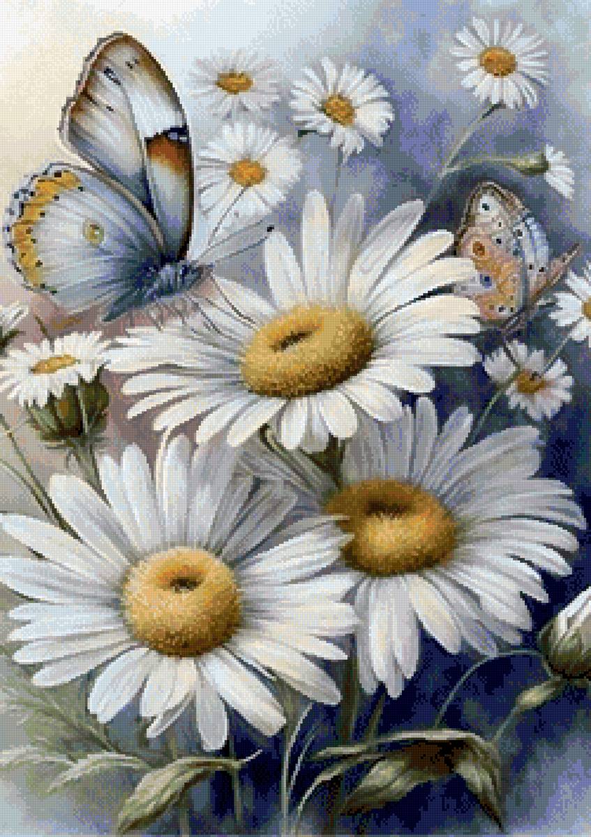 Daisies - предпросмотр