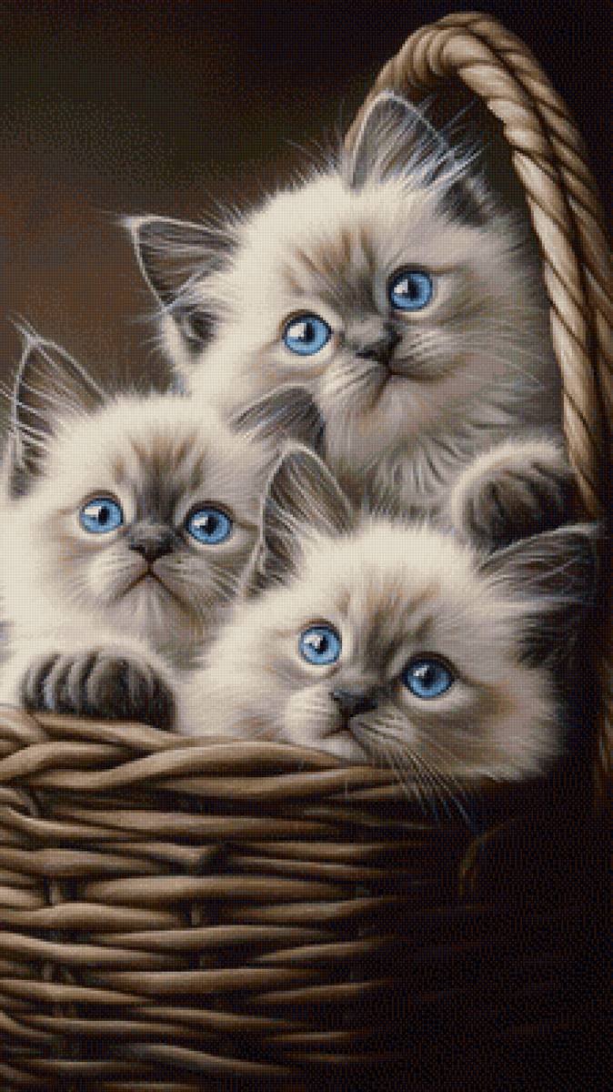 Корзинка счастья - предпросмотр