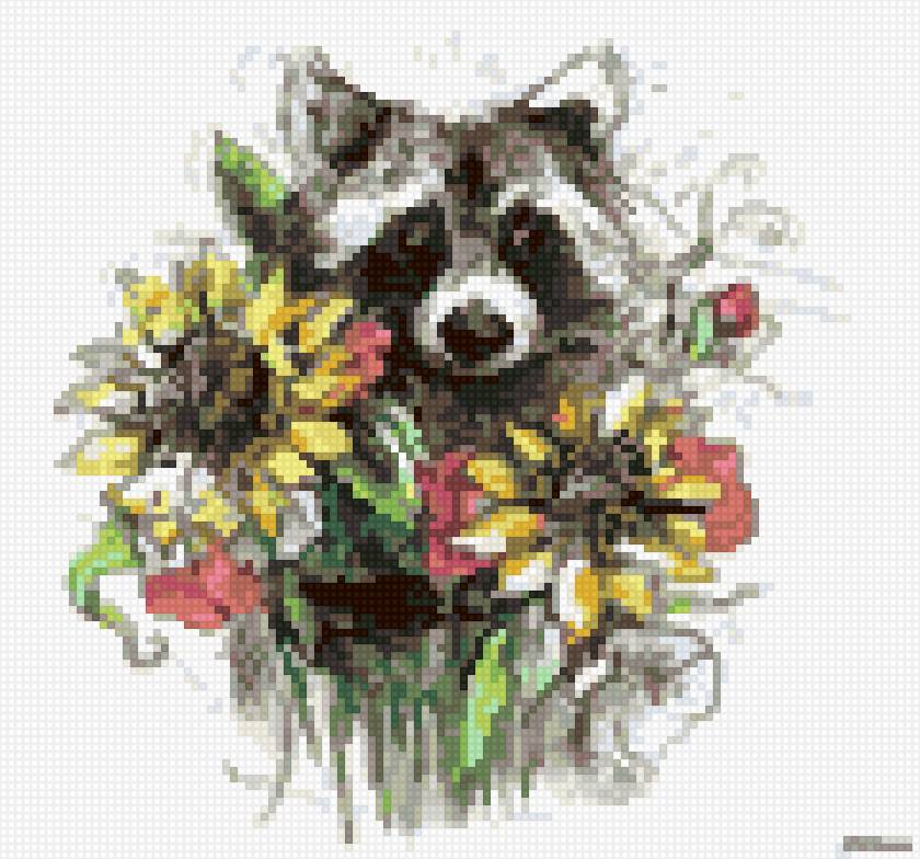 енот5 - предпросмотр