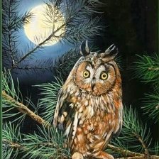 Схема вышивки «Сова»