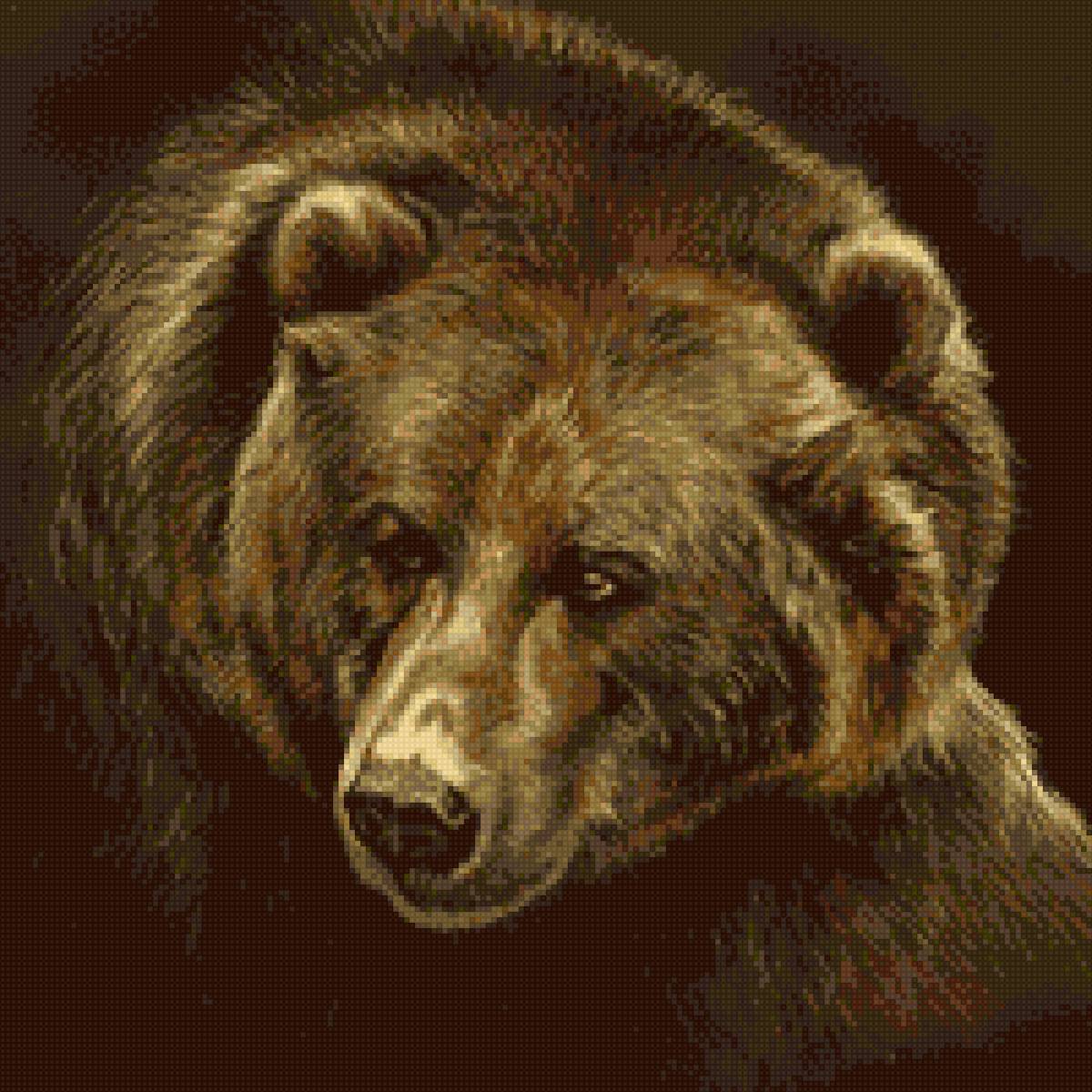 Медведь - предпросмотр