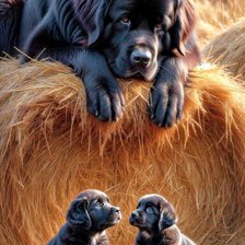 Схема вышивки «Семья»