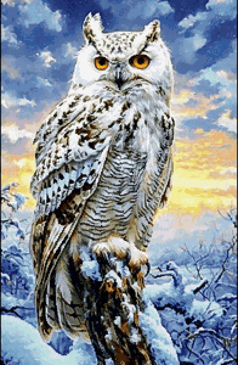 сова - предпросмотр