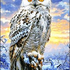 Схема вышивки «сова»