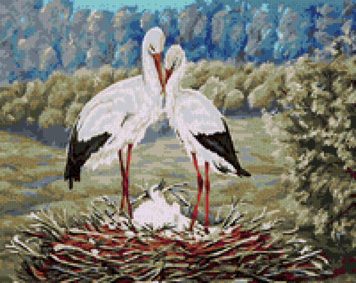 семья аистов - предпросмотр