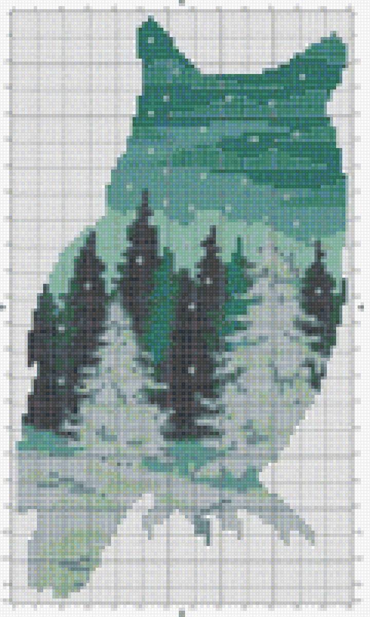 Сова - сова, лес - предпросмотр