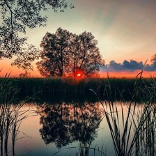 Схема вышивки «Пейзаж»