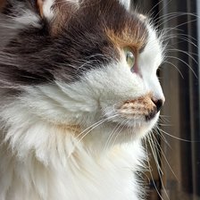 Схема вышивки «Nasha»