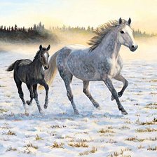 Схема вышивки «№2912672»