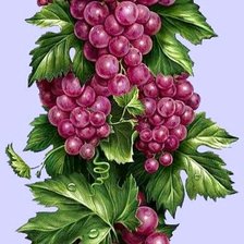 Схема вышивки «виноград»