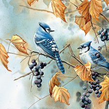 Схема вышивки «№2913148»