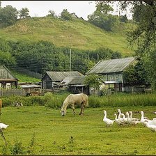 Схема вышивки «№2913198»