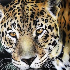 Схема вышивки «№2913246»