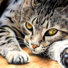 Схема вышивки «№2913247»