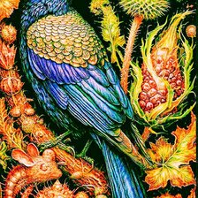 Схема вышивки «Птица»