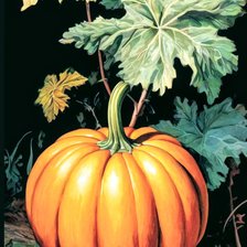 Схема вышивки «Урожай»