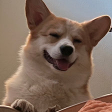 Схема вышивки «Персик1»