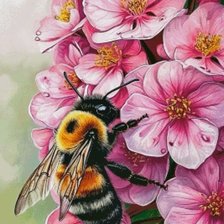 Схема вышивки «№2914204»