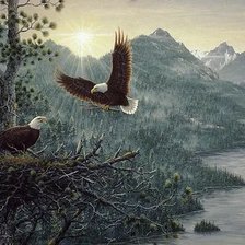 Схема вышивки «№2914336»