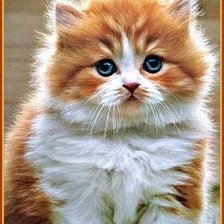 Схема вышивки «№2914372»