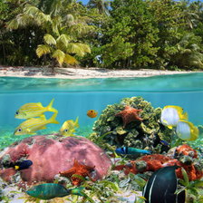 Схема вышивки «Экзотика»