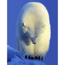 Схема вышивки «Король Севера Приветствует»