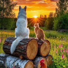 Схема вышивки «№2914689»