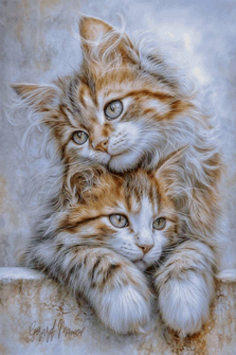 №2914941 - домашние животные, кот - предпросмотр