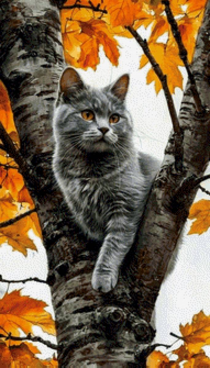 Наблюдатель - кот, домашние животные - предпросмотр