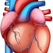 Схема вышивки «сердце»