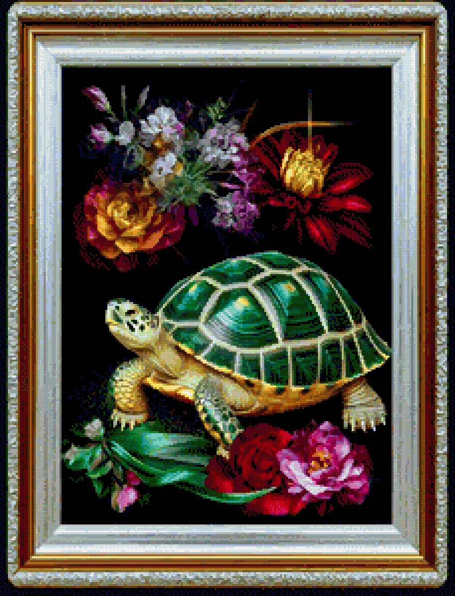 Цветы - черепаха - предпросмотр