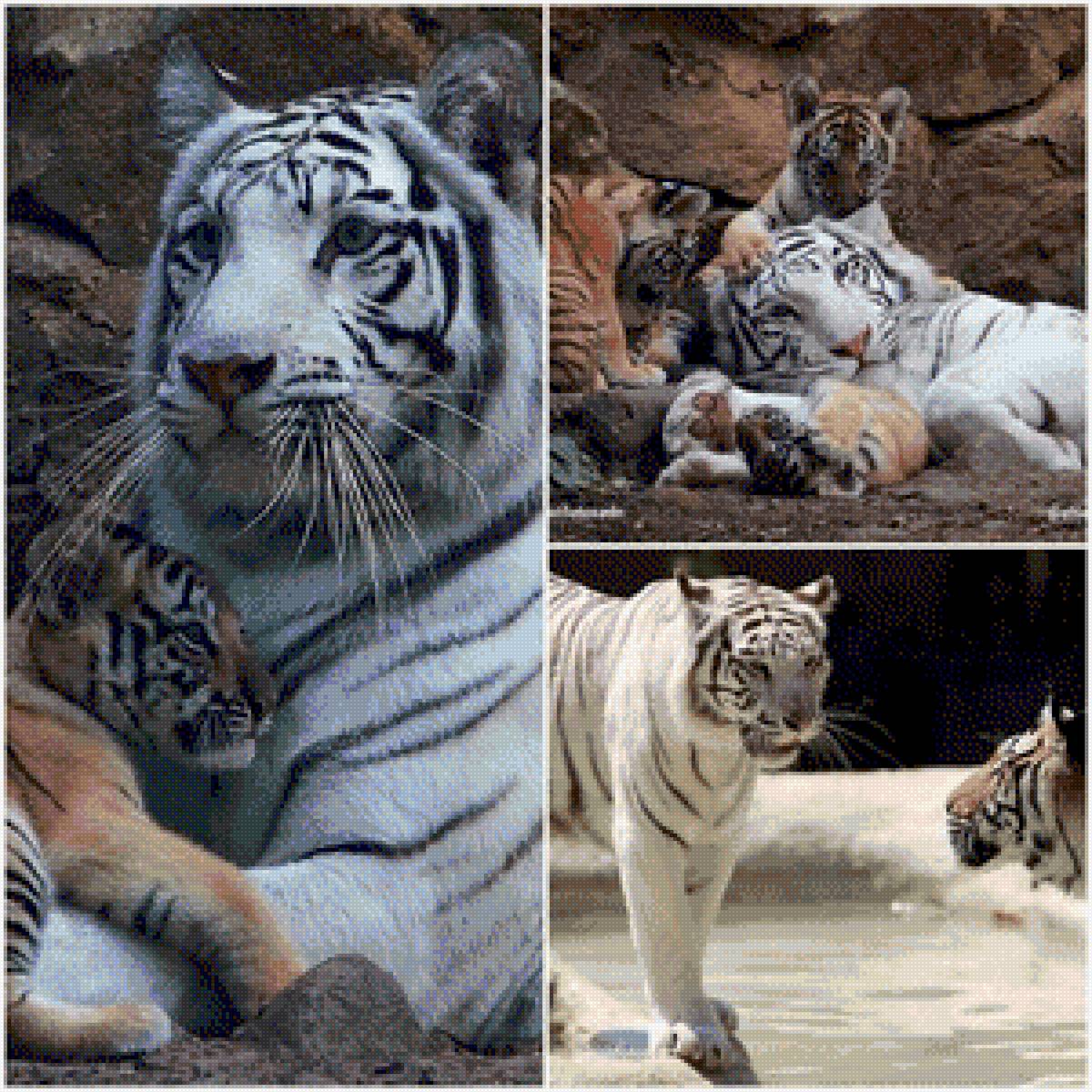 №2915854 - предпросмотр