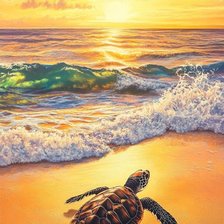 Схема вышивки «Черепаха»