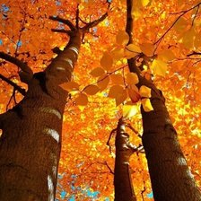 Схема вышивки «Осень»