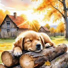 Сладкий сон