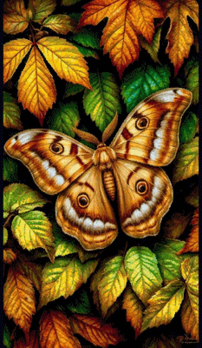 Листья - бабочка - предпросмотр