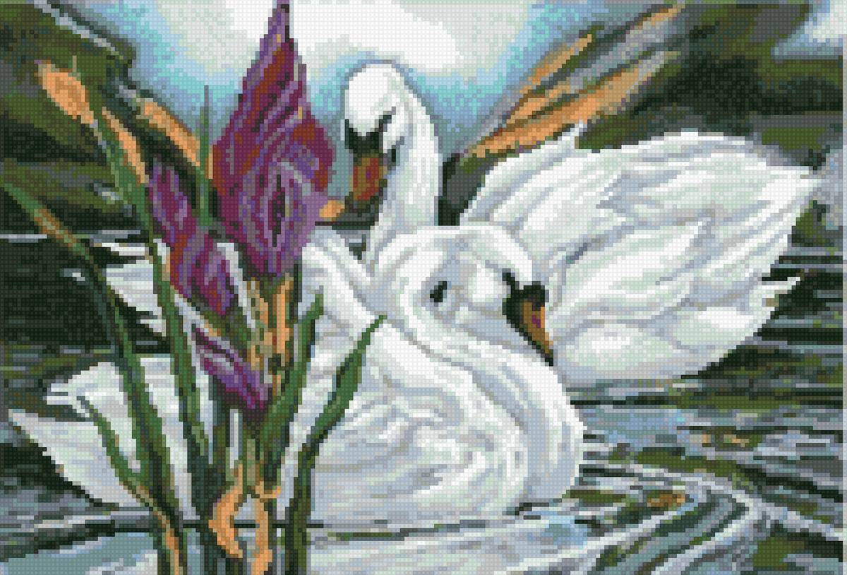 Идеальная пара - предпросмотр