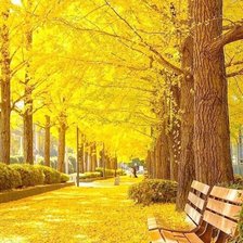 Схема вышивки «солнечная осень»