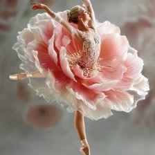 Схема вышивки «балет цветов»