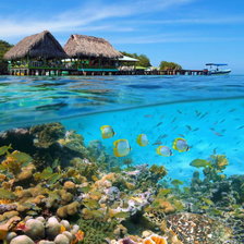 Схема вышивки «Тропический ресторан»