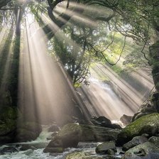 Схема вышивки «лесная речка»