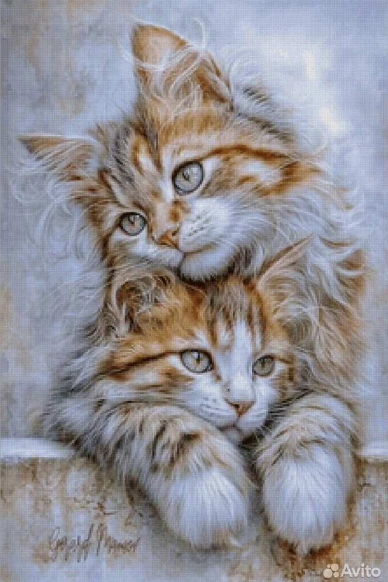 Рыжики - оригинал