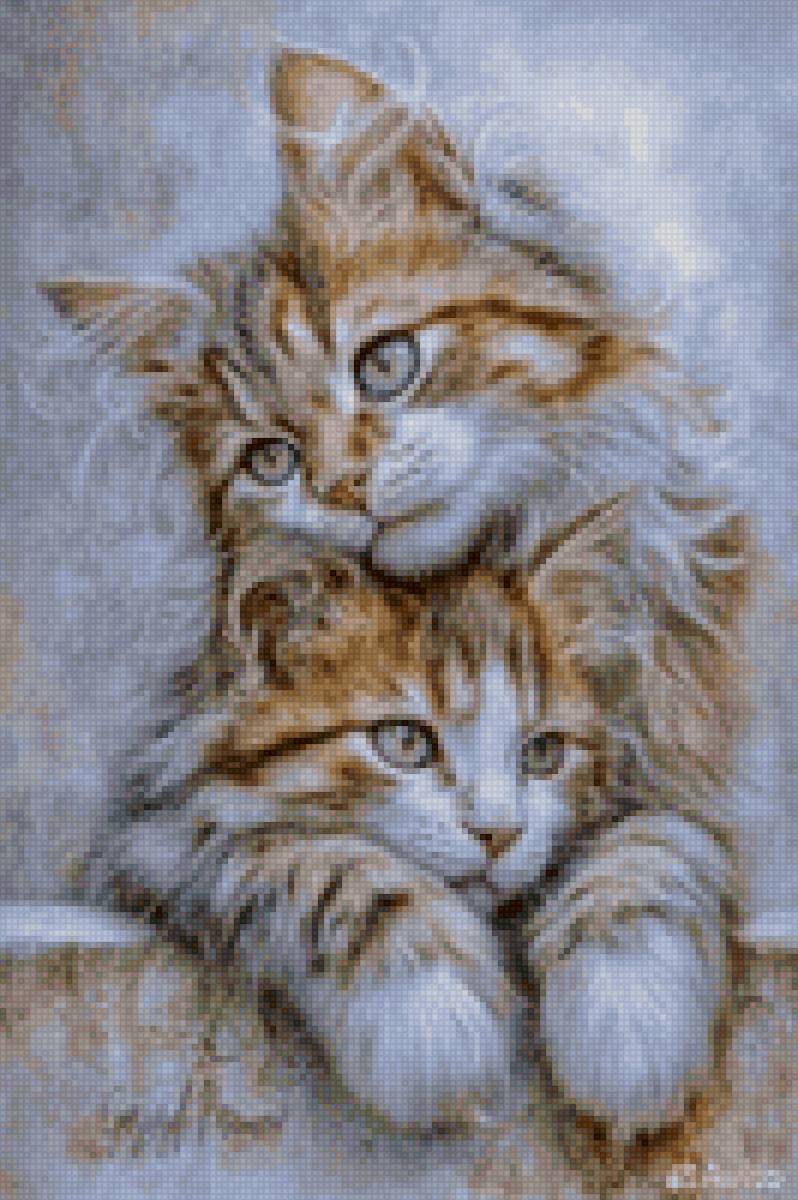 Рыжики - предпросмотр