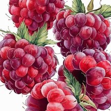 Схема вышивки «Малинка»