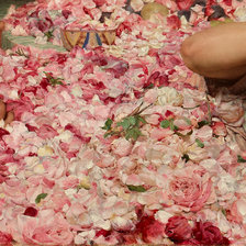 Схема вышивки «The Roses of Heliogabalus 14-16»