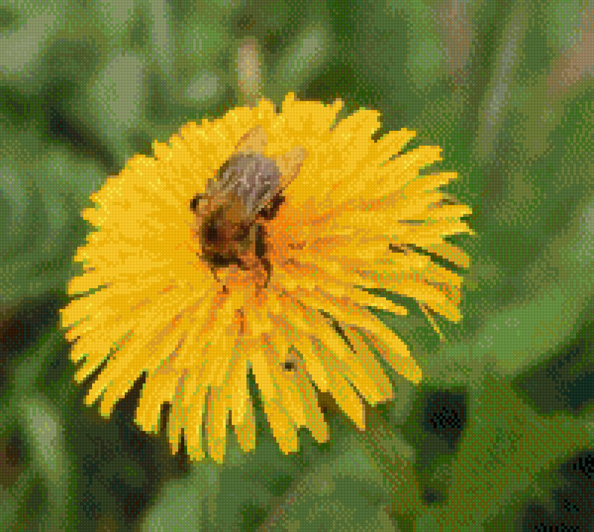 Пчела - 🐝пчела - предпросмотр