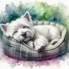 Схема вышивки «Вестик»