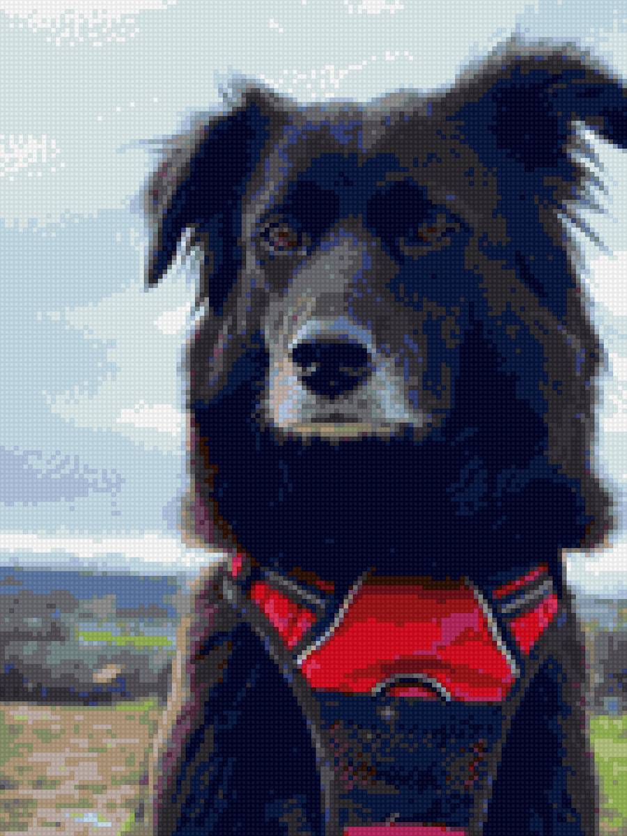 Mila - предпросмотр